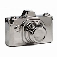 предмет декора camera серебряная в Мурманске