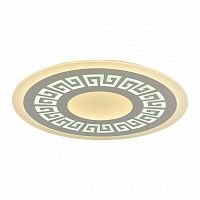 потолочный светодиодный светильник f-promo ledolution 2273-8c в Мурманске