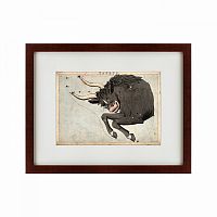 картина: signs of zodiac taurus, 1825 в Мурманске