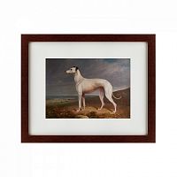 картина: portrait of a greyhound, 1744 в Мурманске