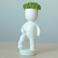 набор для выращивания eco футболист в Мурманске