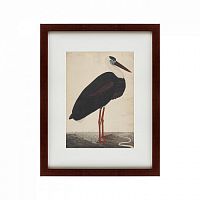 картина: black stork in a landscape, индия, 1780 в Мурманске