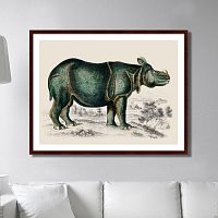 картина: rhinoceros, 1774г. в Мурманске