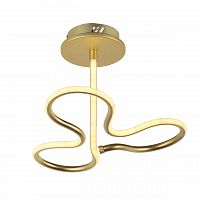 потолочный светодиодный светильник arti lampadari angelo l 1.2.35.03 g в Мурманске
