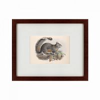 картина: the squirrel, 1879 в Мурманске