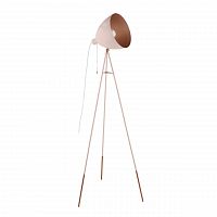 торшер eglo chester-p 49039 в Мурманске