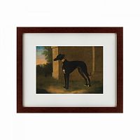 картина: portrait of a greyhound called pompon, 1746 в Мурманске