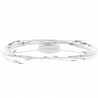 потолочный светильник lightstar ovale 784246 в Мурманске