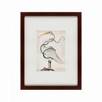 картина: heron encircled by a snake, 1700 в Мурманске