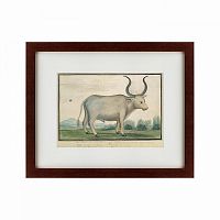 картина: cape ox, 1778 в Мурманске