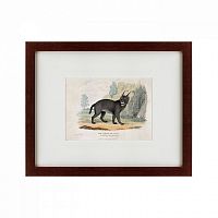 картина: a caracal or lynx, 1830 в Мурманске