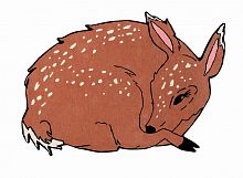 ковер шерстяной олененок the deer в Мурманске