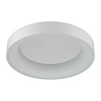 потолочный светодиодный светильник odeon light sole 4062/50cl в Мурманске