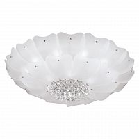 потолочный светильник lightstar lobo 804070 в Мурманске